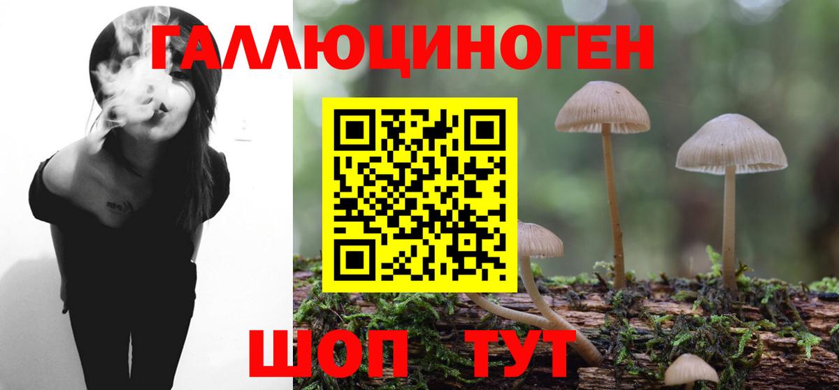 Галлюциногенные грибы Cubensis  Вход с VPN  Псилоцибиновые грибы Psilocybe  Тихорецк 
